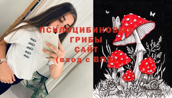 гидра Бежецк