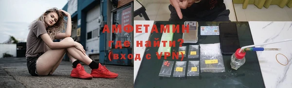 прущие грибы Богданович