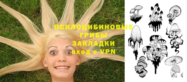 соль курить ск Богородицк