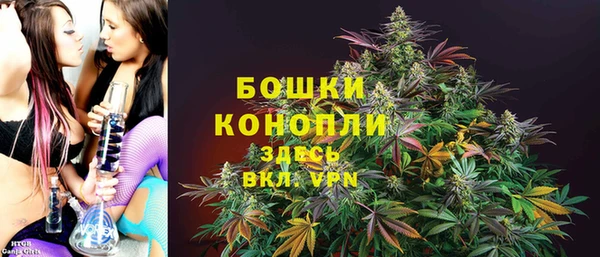 прущие грибы Богданович
