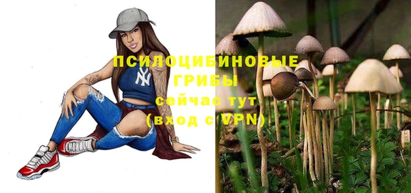 соль курить ск Богородицк
