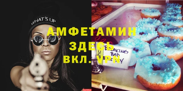 прущие грибы Богданович