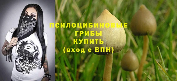 прущая мука Пролетарск