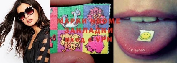 прущие грибы Богданович